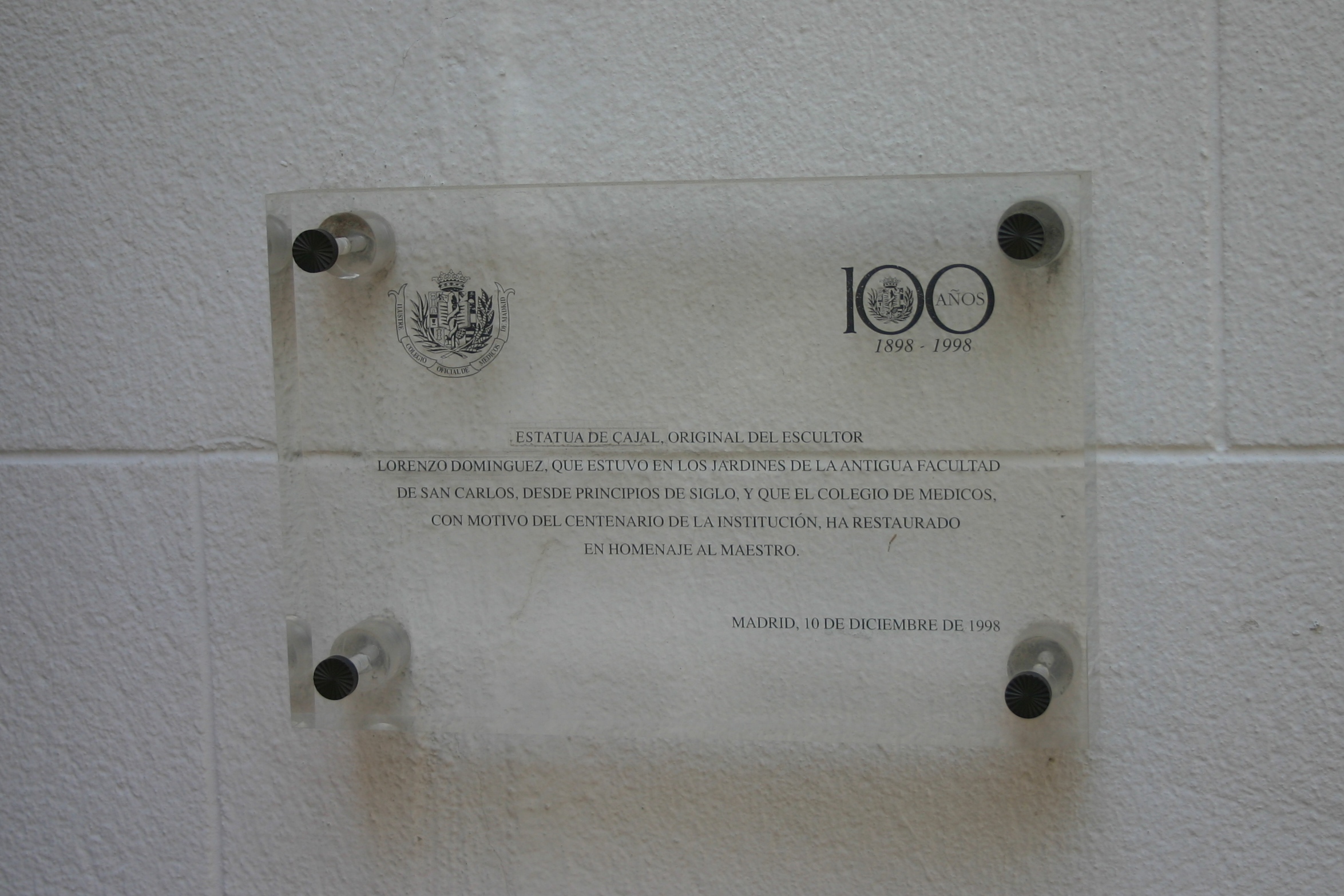Ramon y Cajal's statue, Ilustre Colegio Oficial de Médicos de Madrid - 06.JPG